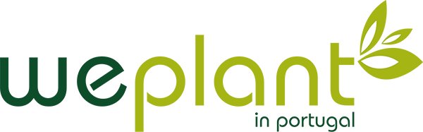 logo-mirtilo